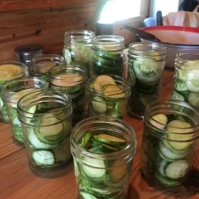 Free Children's Program at the L.W. Paul Living History Farm Photo