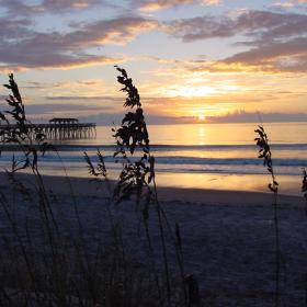 Myrtle Beach State Park