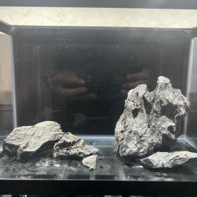 Test 3 (Updated) Photo