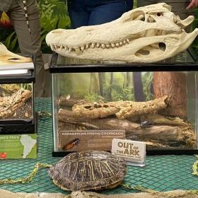 Out of the Ark Educational Animal Shows Photo