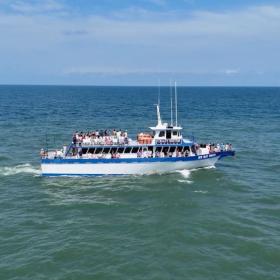 Crazy Sister Dolphin Tours & Cruises Photo