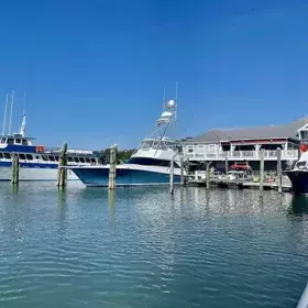 Crazy Sister Dolphin Tours & Cruises Photo