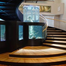 Horry County Museum Photo