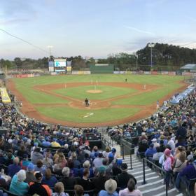 Myrtle Beach Pelicans Photo