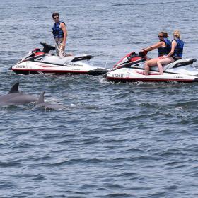 Myrtle Beach Watersports Photo
