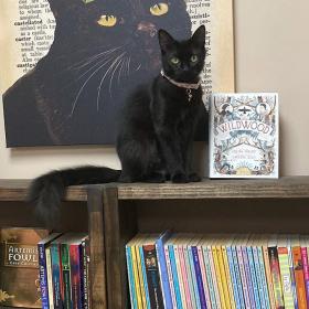 Back Again Bookshop Photo