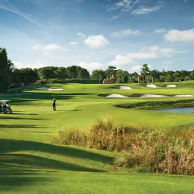 Barefoot Resort & Golf - Love Course Photo