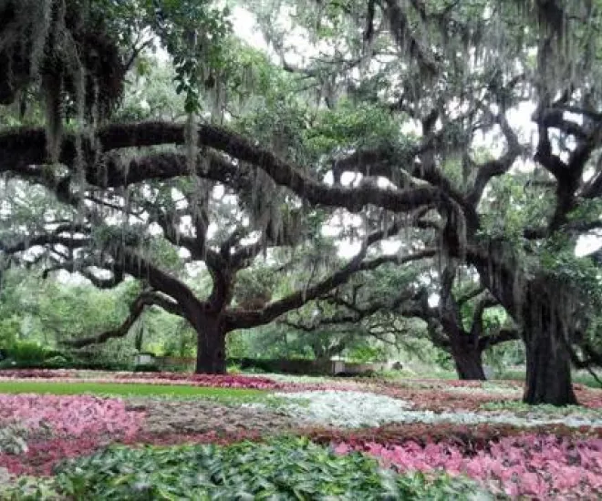 brookgreen