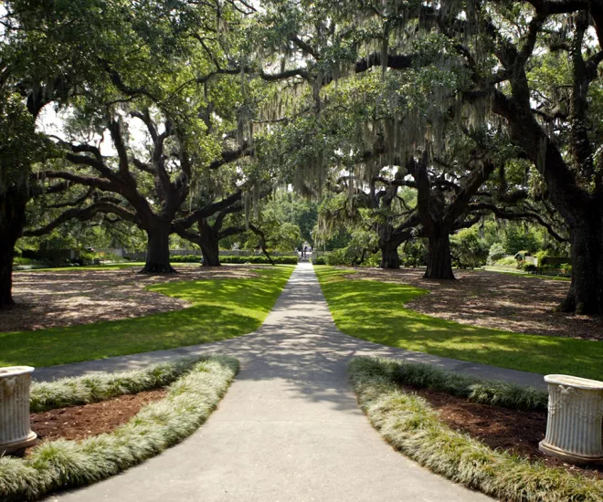 Brookgreen Gardens Oak Alley