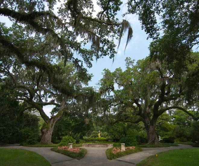 Scenic walk in Brookgreen