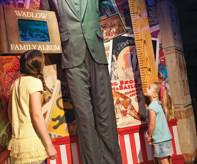 Tall man at Ripleys Believe it or not