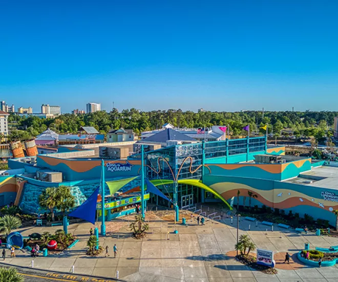 Ripley's Aquarium building aerial