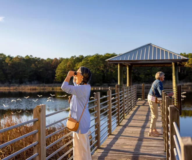 Bird Watching at Huntington Beach State Park