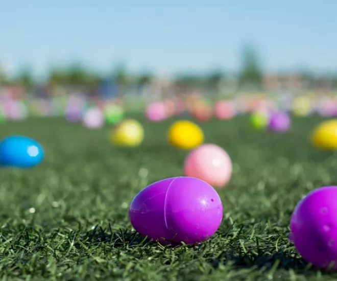 Easter Eggs laying on a field for an easter egg hunt