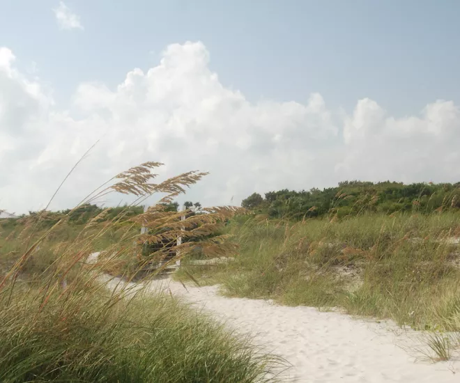 Sandy beach path at Huntington beach state park