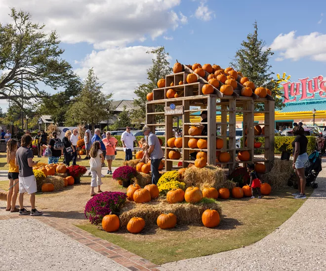 Boofest at Barefoot Landing with pumpkins