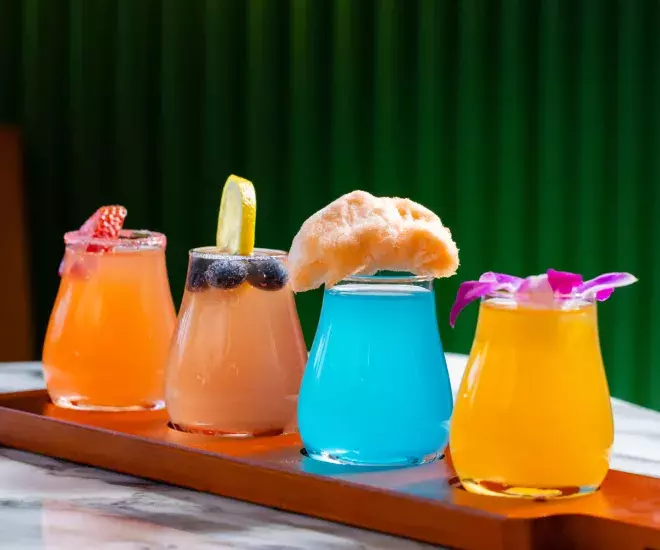 Zeytin Mimosa Flight