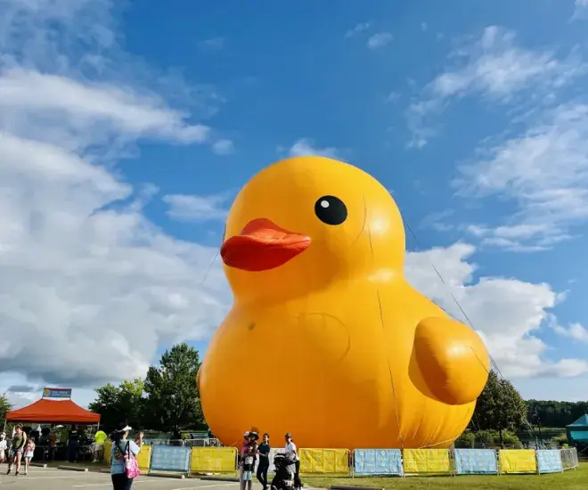 World's Largest Rubber Duck
