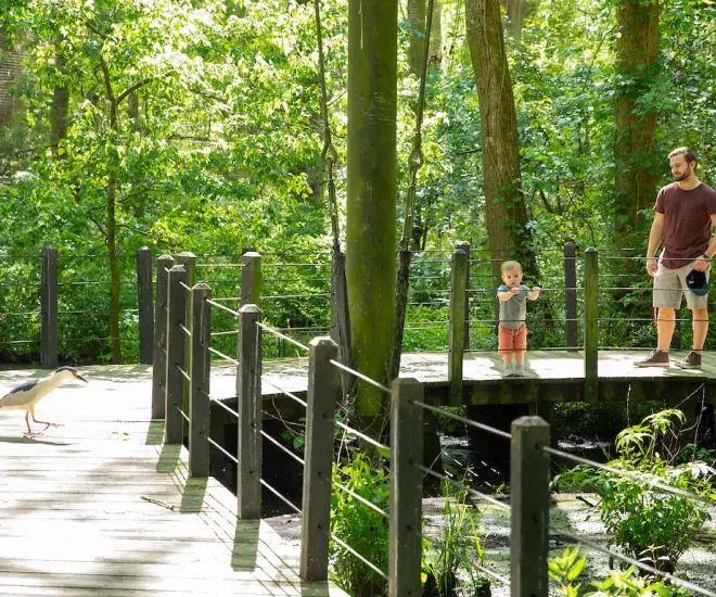Brookgreen Gardens Lowcountry Zoo