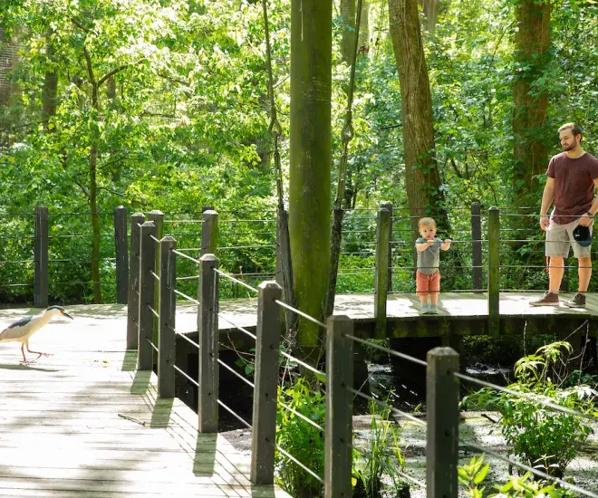 Brookgreen Gardens Lowcountry Zoo