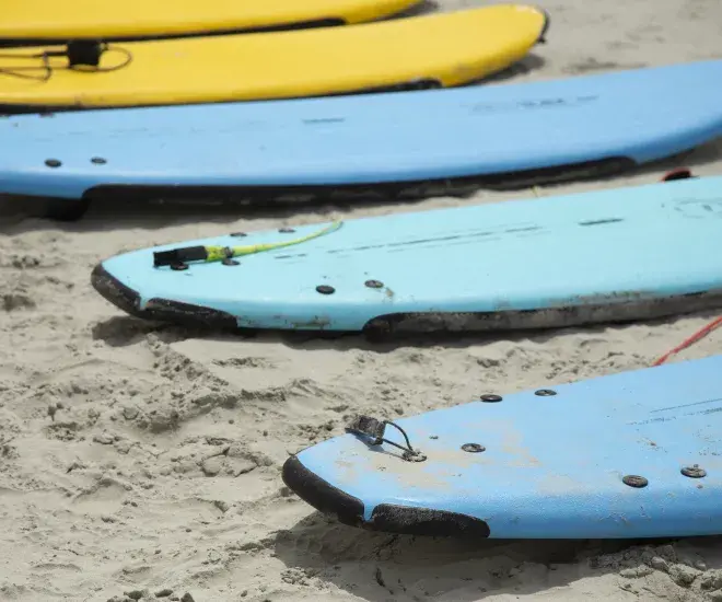 Surfboards in a line on the beach.