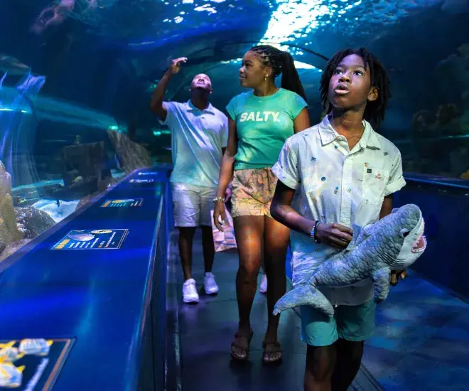 Ripley's Aquarium Myrtle Beach