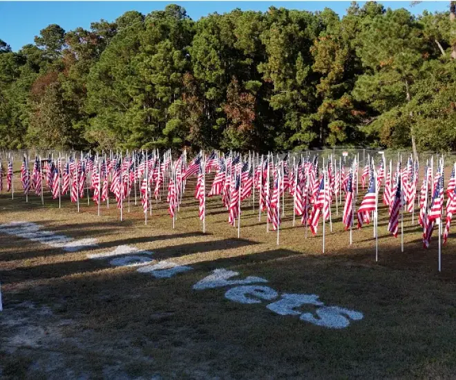 250 American Flags installed in the ground.