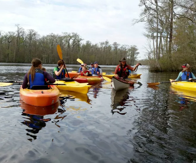 Kayakers on the river