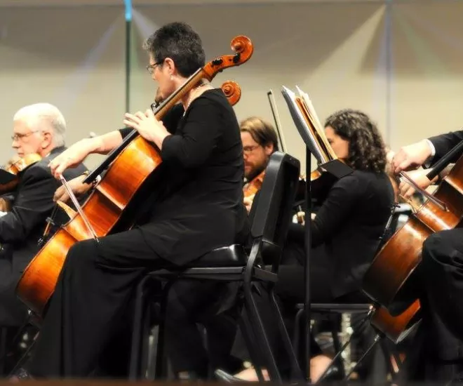 Long Bay Symphony members string section