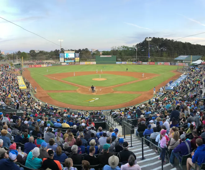 MYRTLE BEACH PELICANS 2022 TEAM SET