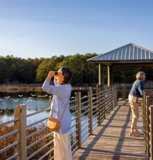 Bird Watching at Huntington Beach State Park