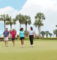Golf Group Strolling