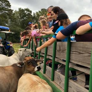 Thompson Farm Conway