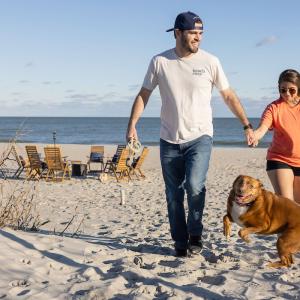 Beach Easy Dog Walk