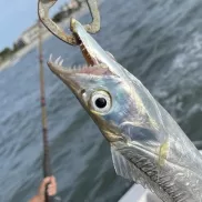 Crazy Sister Marina close up of fish with fisherman in background