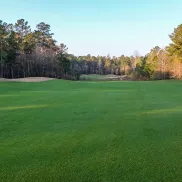 Diamondback fairway with trees