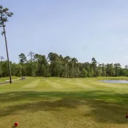 Tupelo Bay Golf green and fairway