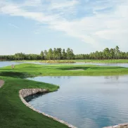 Wizard Golf large lake surrounding green with cart path