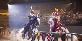 Save Up to $20 per person at Medieval Times Dinner & Tournament Photo