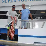 Voyager Deep Sea Fishing & Dolphin Cruises Photo