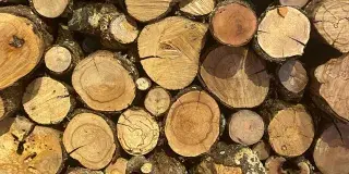 Bubba's Fish Camp & Smokehouse Photo