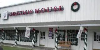 The Christmas Mouse MB Photo