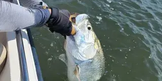 Harvest Moon Fishing Charters Photo