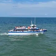 Crazy Sister Dolphin Tours & Cruises Photo