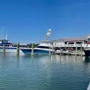 Crazy Sister Dolphin Tours & Cruises Photo