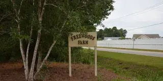 Freewoods Farm Photo