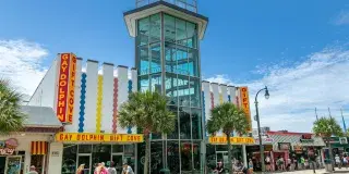 Gay Dolphin Gift Cove Photo