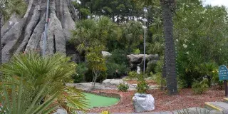 Hawaiian Rumble Miniature Golf Photo