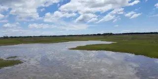 Hobcaw Barony Photo 2