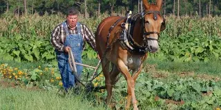 Horry County Museum Photo 2